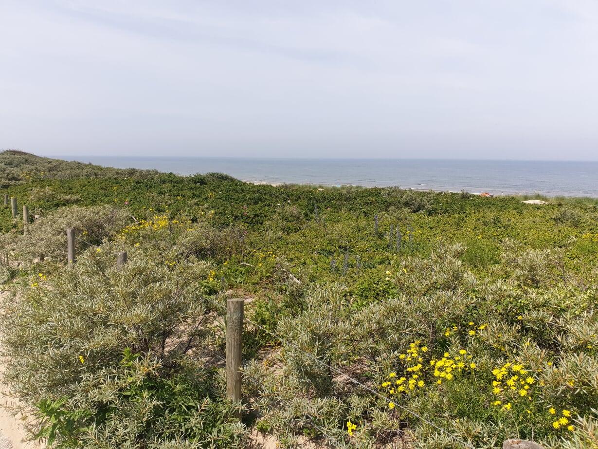 foto Kijkduin tijdens een mooie zomerochtend wandeling