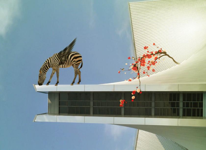 zebra naast en plant op het eye museum