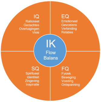 De balans tussen de 4 intelligenties van clear minds, clear-minds.nl